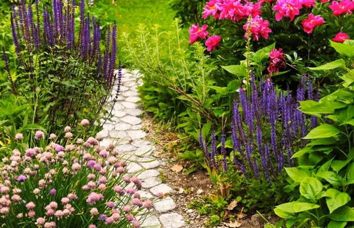 Aménager son jardin étape par étape : notre guide complet